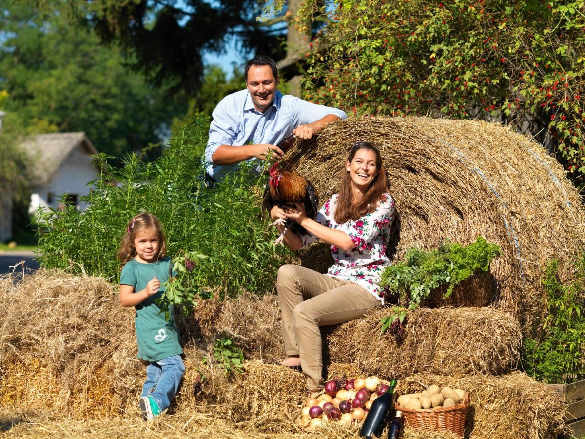 Fruehstueckshaus Wunderland Bed & Breakfast Laa an der Thaya Dış mekan fotoğraf